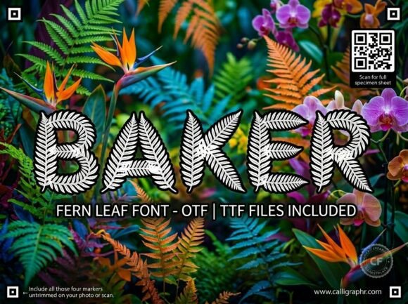 Baker Font for Business Branding