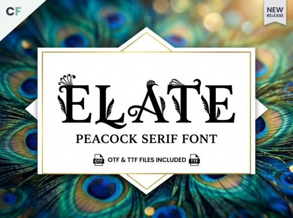 Elate Font for Creative Makers